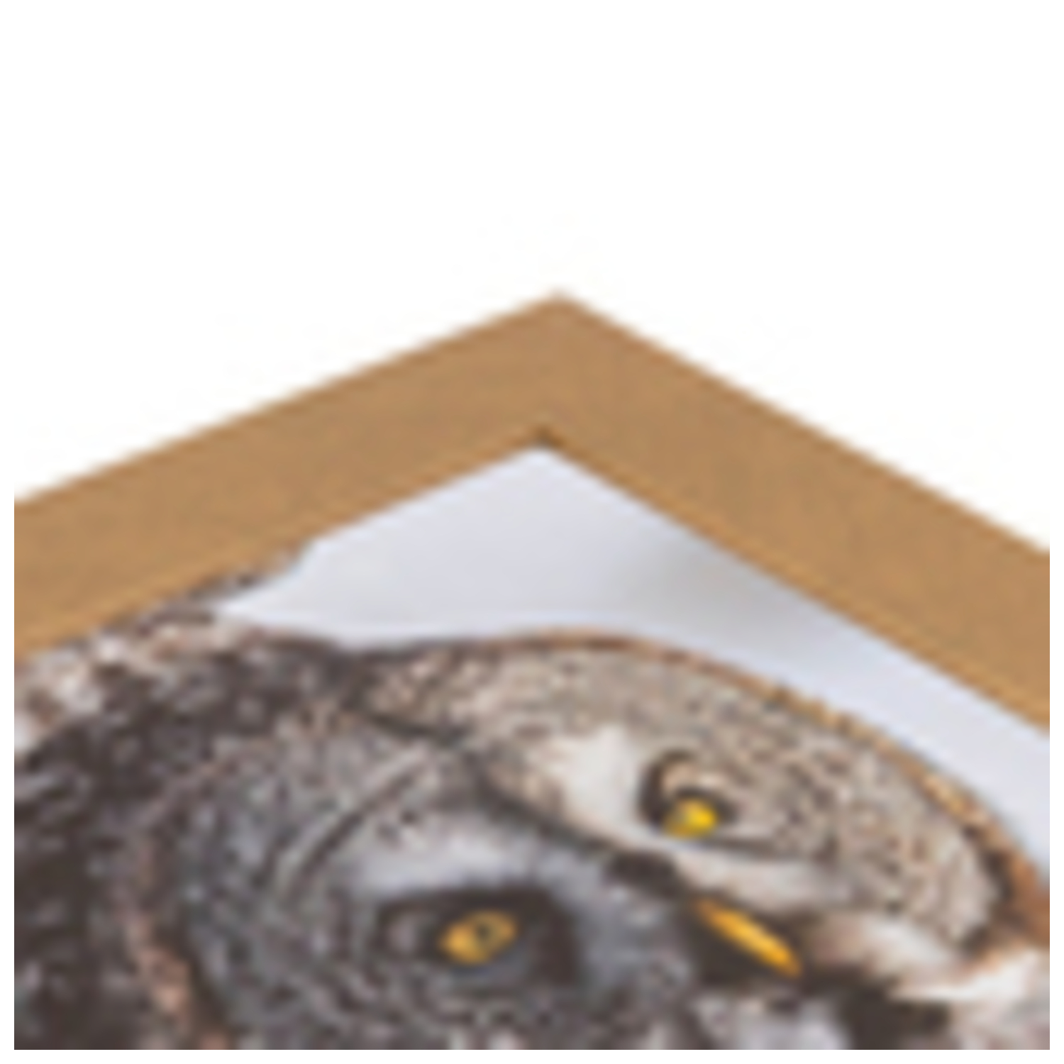ArtToFrames 15 x 18" Moderner individueller Bilderrahmen Poster 2" breit A48KZ - Bild 38 von 73