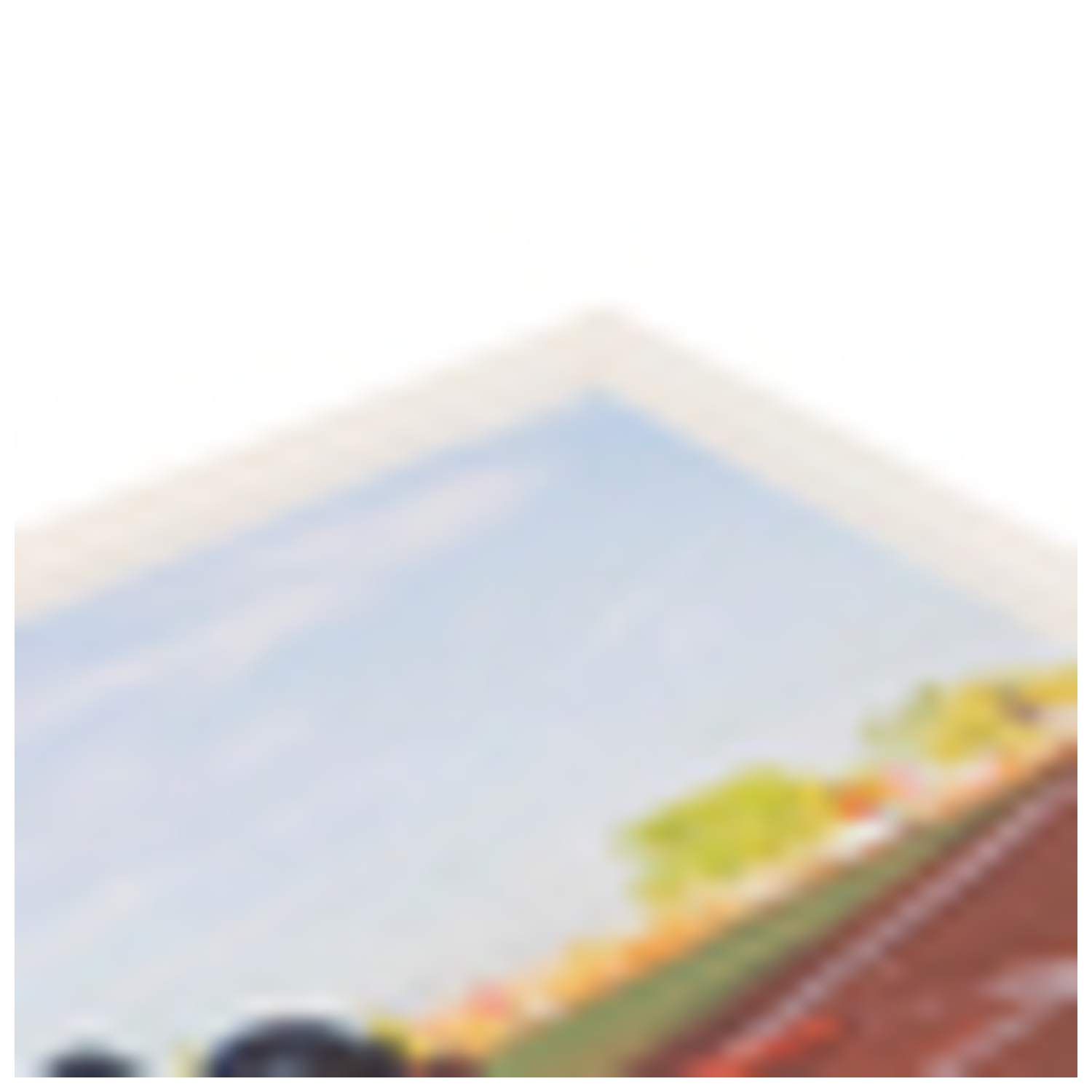 ArtToFrames Cornice Poster Quadro Personalizzata Tradizionale 20 x 28" Larghezza 1" A9PA - Foto 49 di 65
