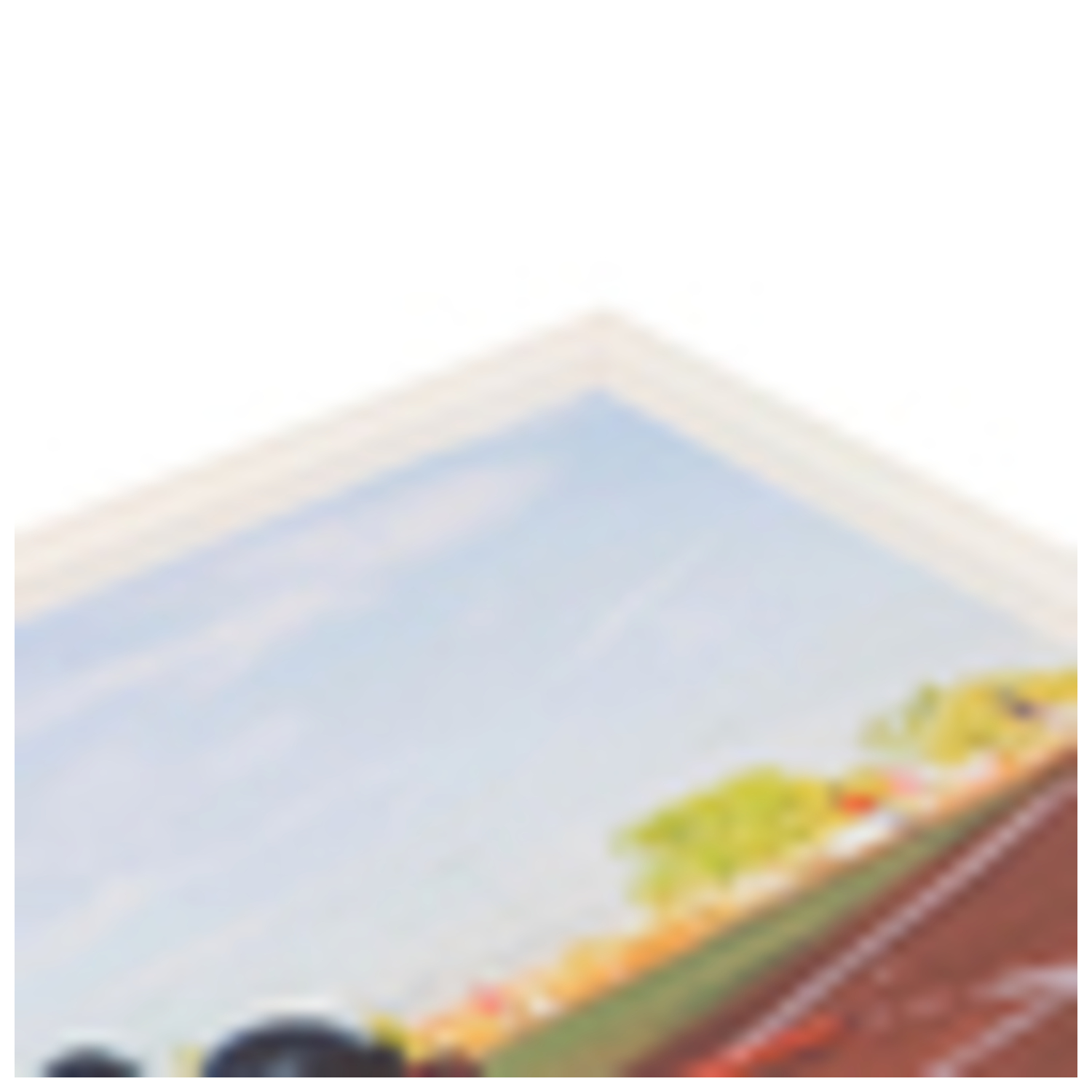 ArtToFrames 11 x 22" Traditional Custom Picture Poster Frame 1" Wide A9HN - Picture 28 of 37