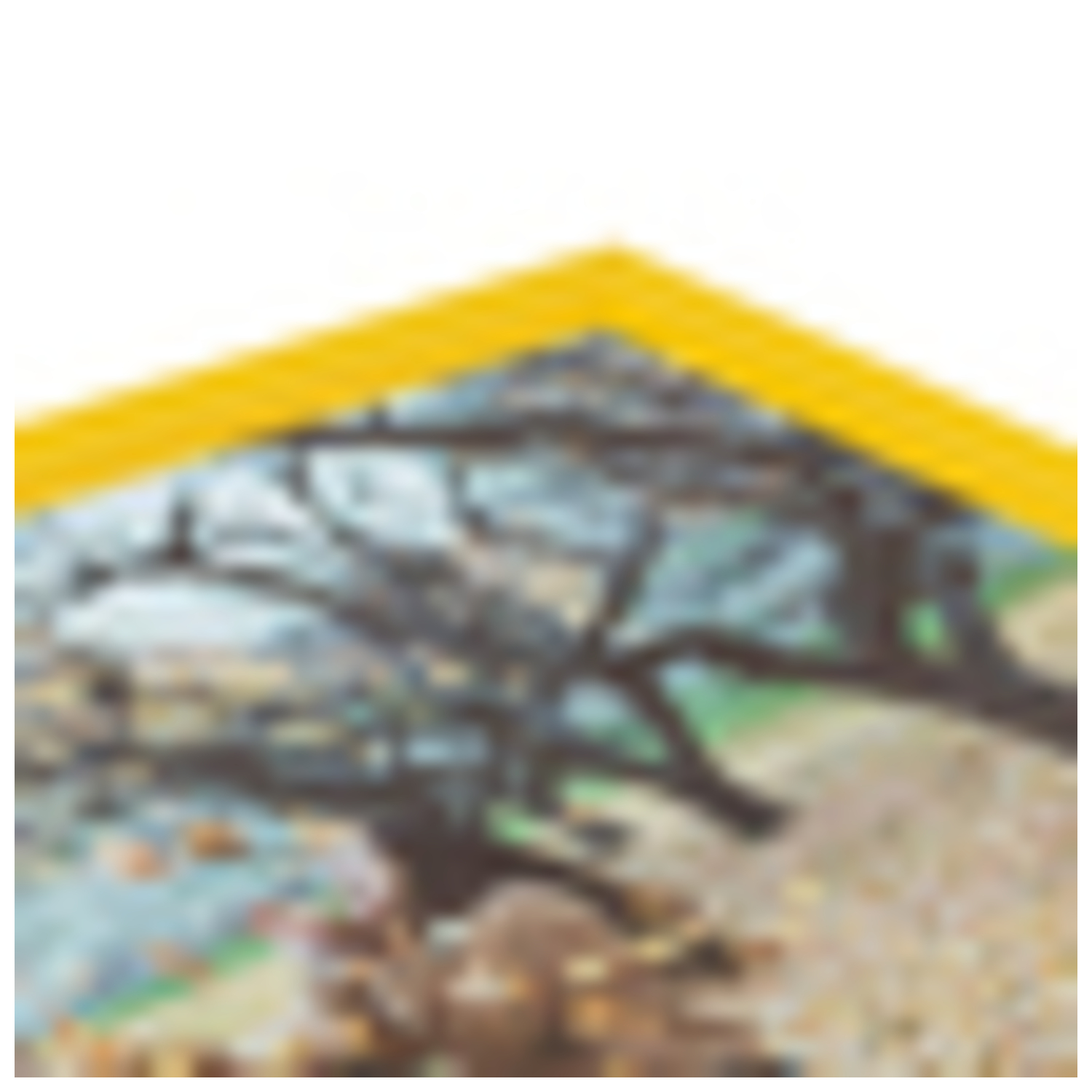 ArtToFrames Cornice Poster Quadro Personalizzata Tradizionale 20 x 28" Larghezza 1" A9PA - Foto 31 di 65