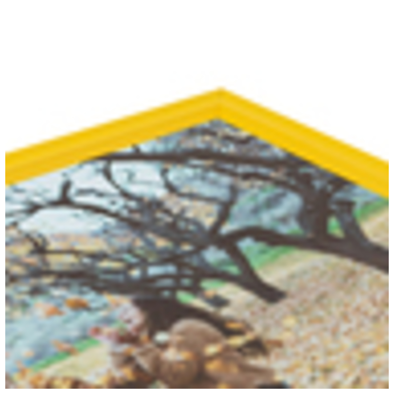 ArtToFrames 10 x 16" Traditional Custom Picture Poster Frame 1" Wide A9GH - Picture 24 of 44