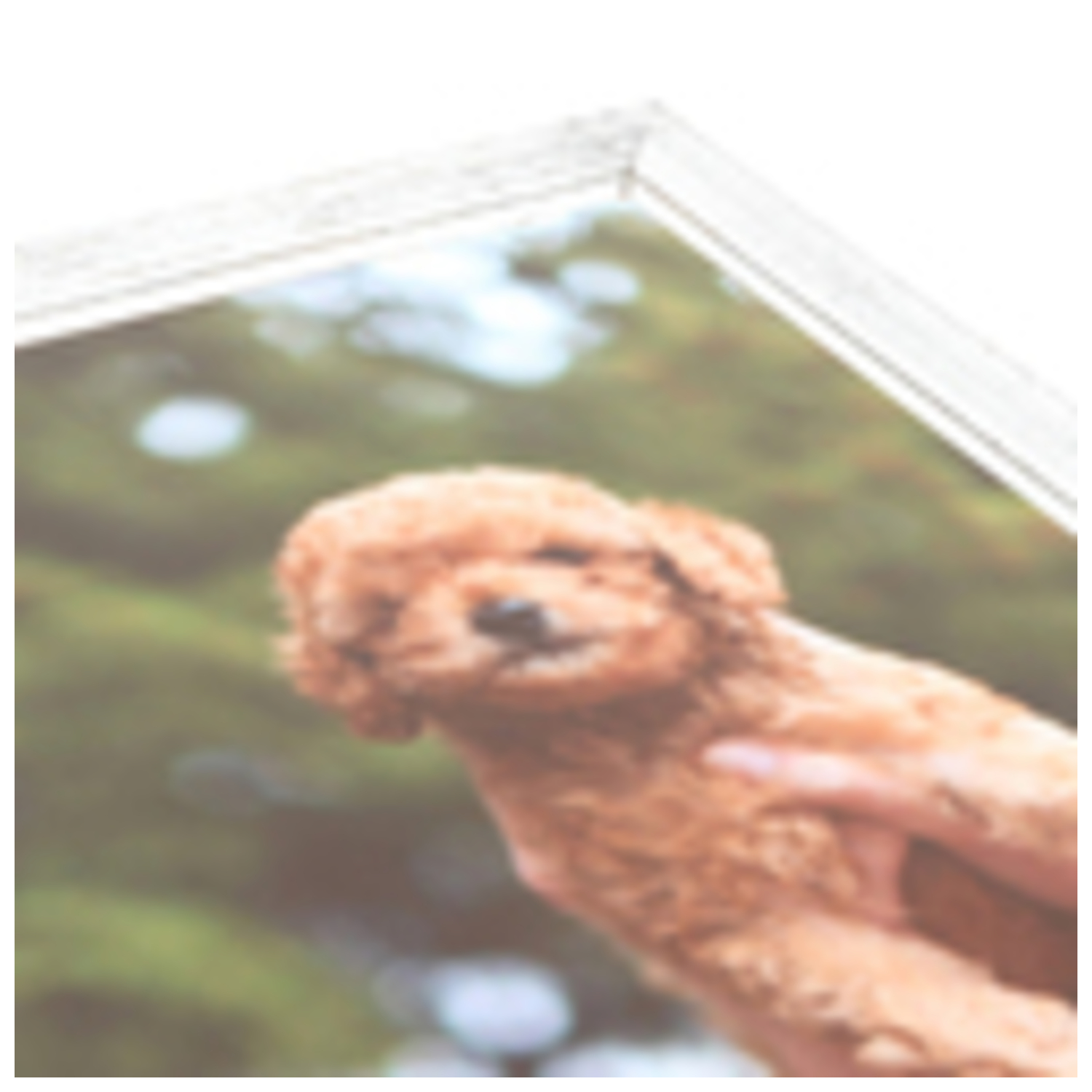 ArtToFrames 12 x 12" Rustic Custom Picture Poster Frame 1" Wide A45IC - Picture 66 of 69