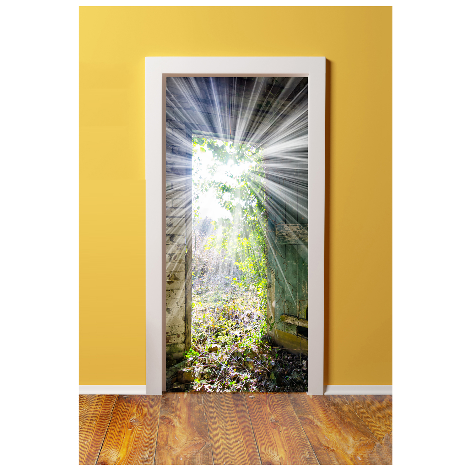 DoorPix 746 3D Door Sticker Decal Mural - Matte Bubble Free - Picture 42 of 90